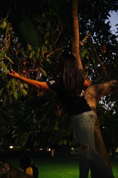 Fruit Picking - Tree-hagn